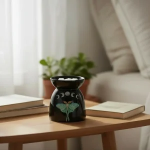 Papillon de nuit