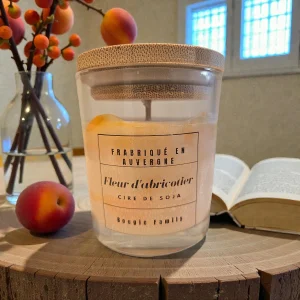 Marbrée petite Fleur d'abricotier