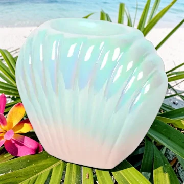 Coquillage perlé
